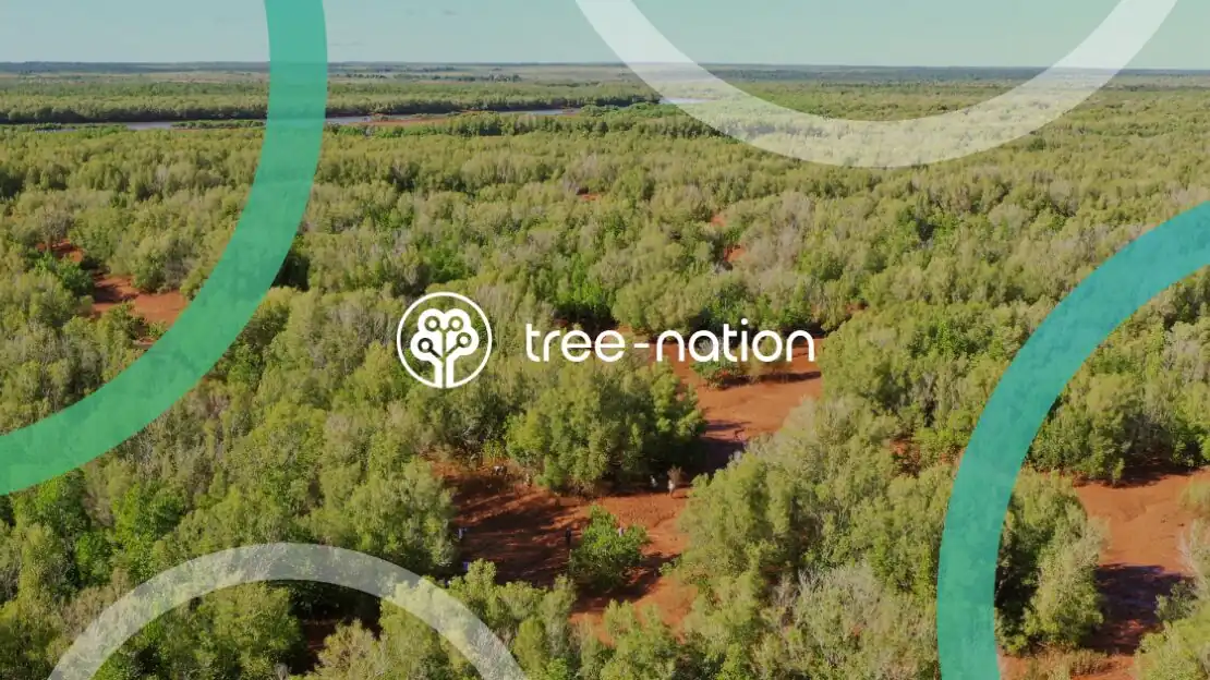 Tree-nation と SMARTWIZ+art